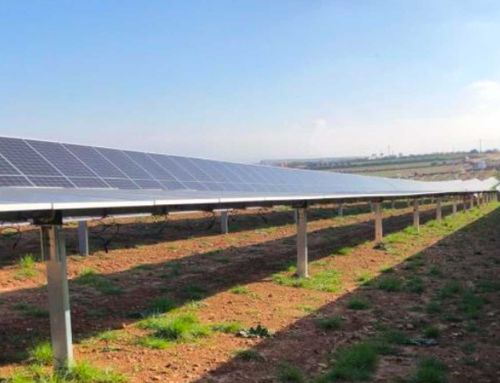 Paneles fotovoltaicos