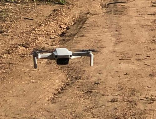 Vigilância Agrícola